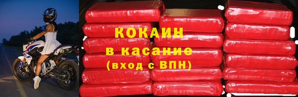 PSILOCYBIN Балабаново
