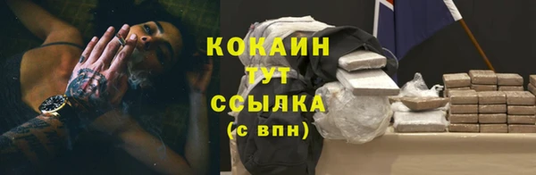 ГАЛЛЮЦИНОГЕННЫЕ ГРИБЫ Баксан