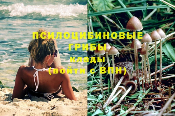 PSILOCYBIN Балабаново